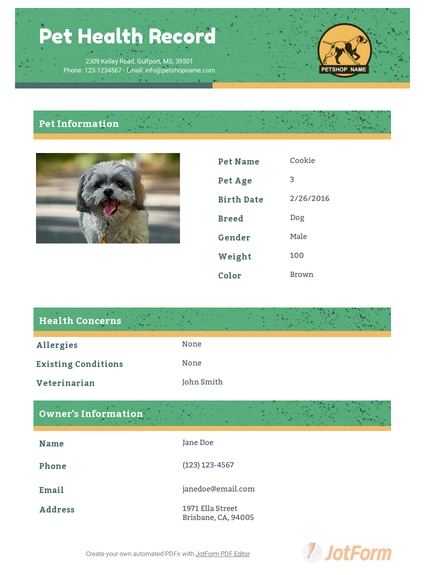 Pet Health Record Template – Pdf Templates | Jotform In Dog Vaccination Certificate Template
