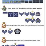 Ppt – Royal Air Force: Commissioned Rank Badges Powerpoint Presentation With Raf Powerpoint Template