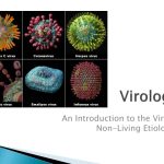 Ppt – Virology Powerpoint Presentation, Free Download – Id:9161596 With Regard To Virus Powerpoint Template Free Download