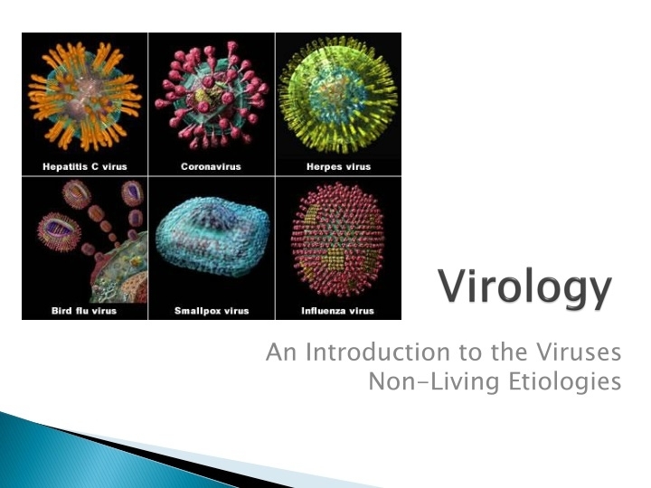 Ppt – Virology Powerpoint Presentation, Free Download – Id:9161596 With Regard To Virus Powerpoint Template Free Download