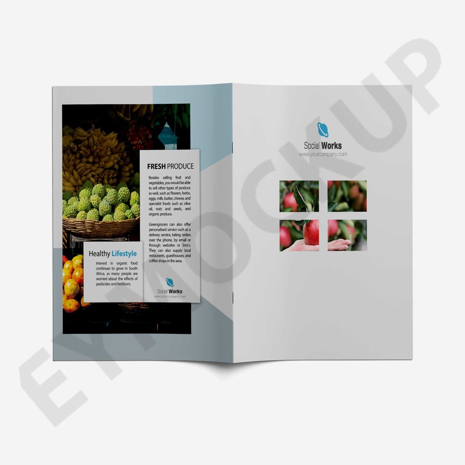 Premium Wine Brochure Template Within Wine Brochure Template
