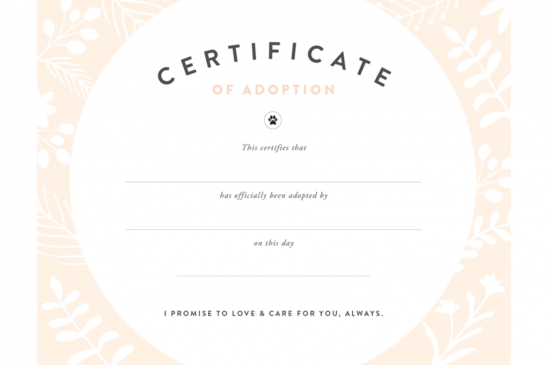 Pretty Fluffy With Regard To Pet Adoption Certificate Template