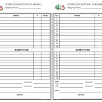 Printable Baseball Lineup Cards – 33 Printable Baseball Lineup Intended For Baseball Lineup Card Template