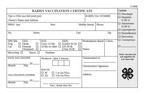 Printable Rabies Vaccination Certificate Template – Withcatalonia In Rabies Vaccine Certificate Template