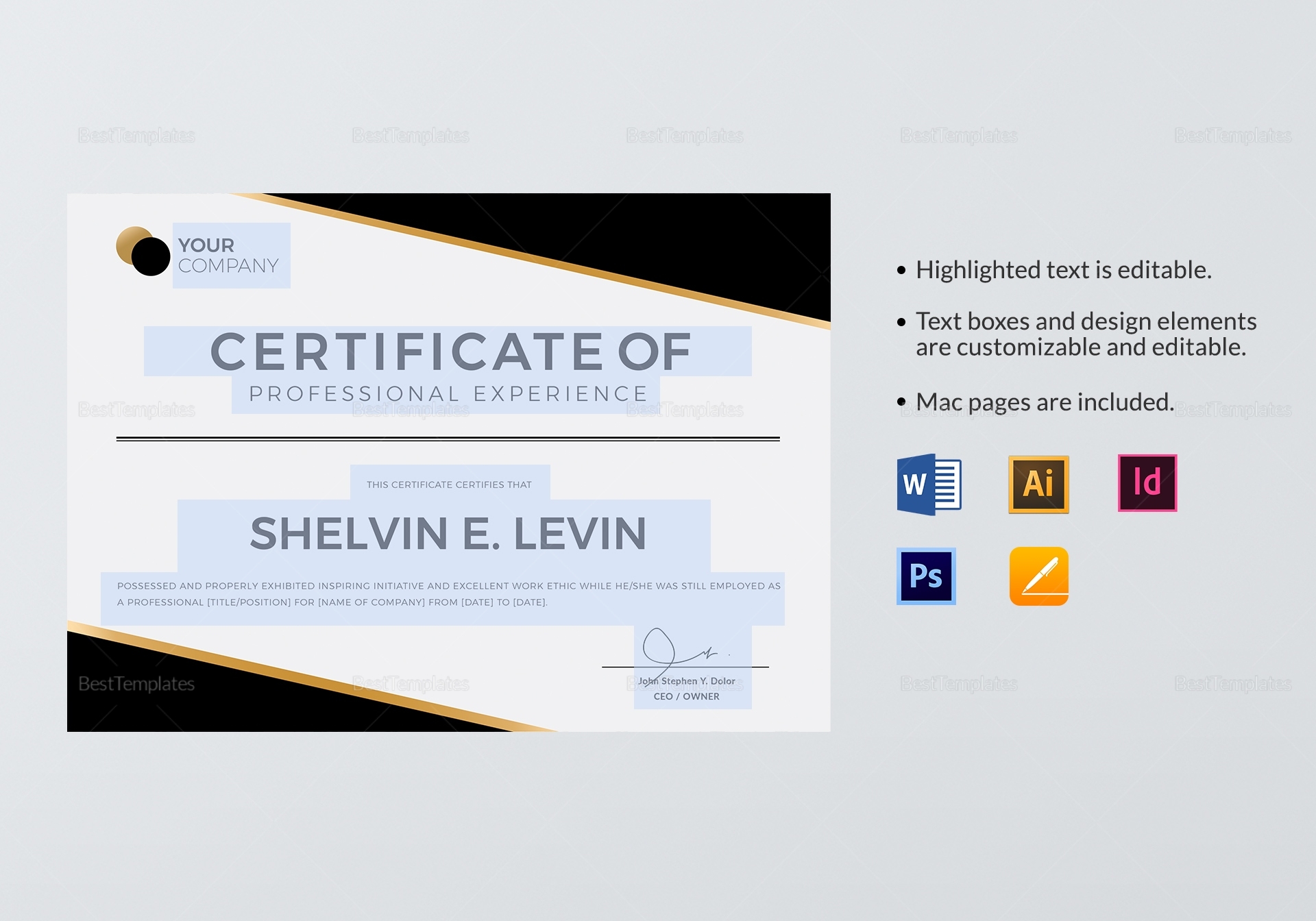 Professional Experience Certificate Template In Psd, Word, Illustrator with regard to Professional Certificate Templates For Word