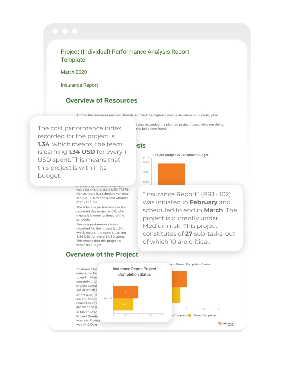 Project (Individual) Performance Analysis Report Template Within Project Analysis Report Template