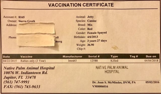 Rabies Vaccine Certificate - Tula'S Endless Summer pertaining to Rabies Vaccine Certificate Template