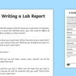 Science Investigation Write Up Example  Ks2 (Teacher Made) Throughout Science Report Template Ks2