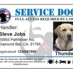 Service Animal Certificate Template – Carlynstudio Throughout Service Dog Certificate Template