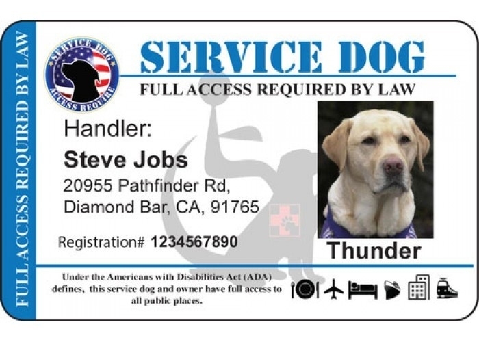 Service Animal Certificate Template - Carlynstudio Throughout Service Dog Certificate Template