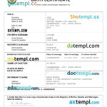 South Africa Vital Record Birth Certificate Word And Pdf Template Pertaining To South African Birth Certificate Template