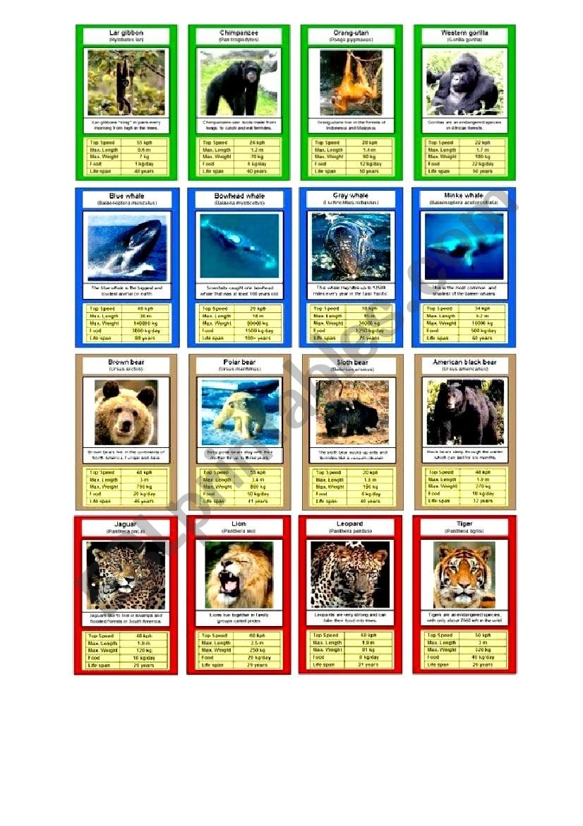 Top Trumps Cards Template | Template Business Format Intended For Top Trump Card Template