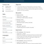 Word Document Editable Resume Template Free Download : Cv Template With Microsoft Word Resumes Templates